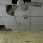 IMG-20240712-WA0240