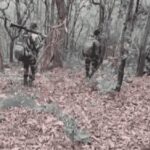 naxal-1-e1725517627838