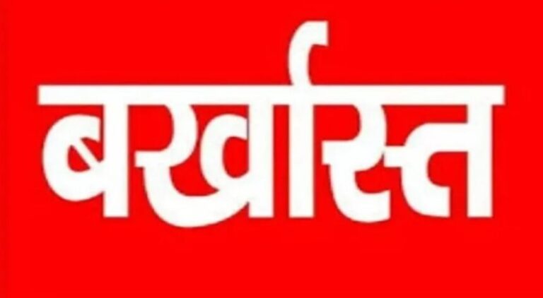 स्क्रीनशॉट-2024-12-10-084116-860x472