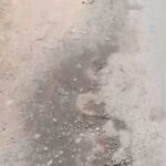 IMG_20260317_122241