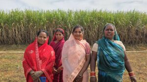 राष्ट्रीय ग्रामीण आजीविका मिशन SUCCESS STORY